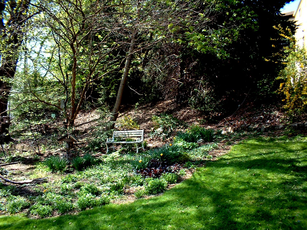 A view of the yard in spring.